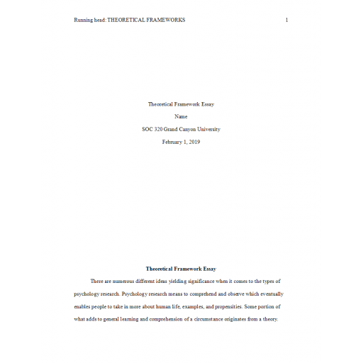 SOC 320 Assignment, Theoretical Framework Essay