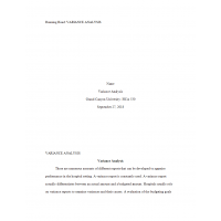 HCA 530 Topic 2 Assignment, Variance Analysis Paper