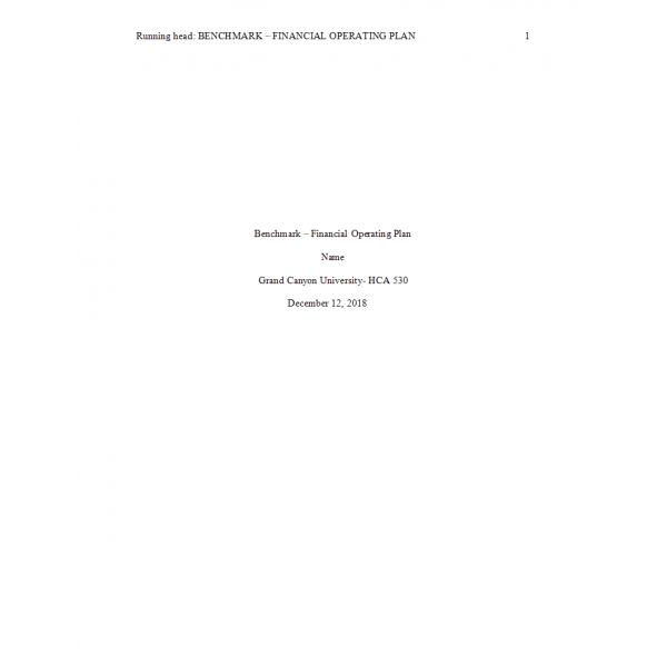 HCA 530 Topic 2 Benchmark Assignment, Financial Operating Plan Analysis