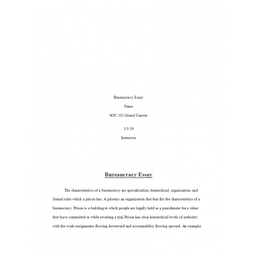 Bureaucracies definition sociology picture