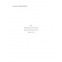 HCA 530 Topic 4 Assignment, Coder Interview Assignment