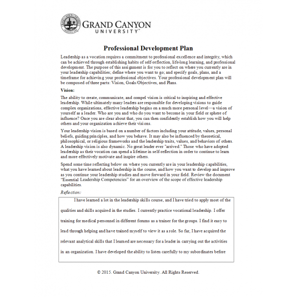 LDR 600 Week 8 Assignment, Professional Development Plan