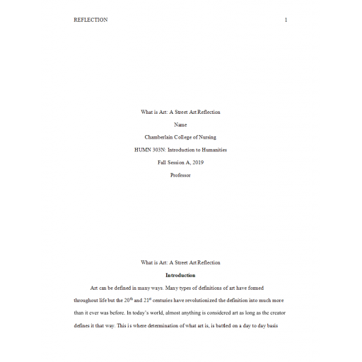 HUMN 303 Week 7 Assignment, What is Art- A Street Art Reflection