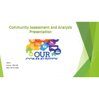 NRS 428VN Topic 4 Assignment, Community Assessment and Analysis  Presentation