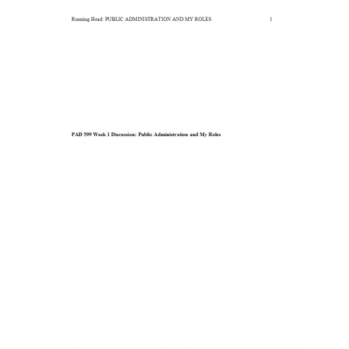 Pad599 essay 02 picture