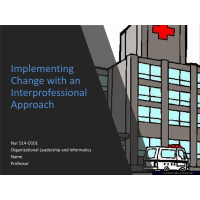 NUR 514 Week 3 Assignment, Implementing Change with an Interprofessional Approach 2 NUR 514 Week 3 Assignment, Implementing Change with an Interprofessional Approach 2