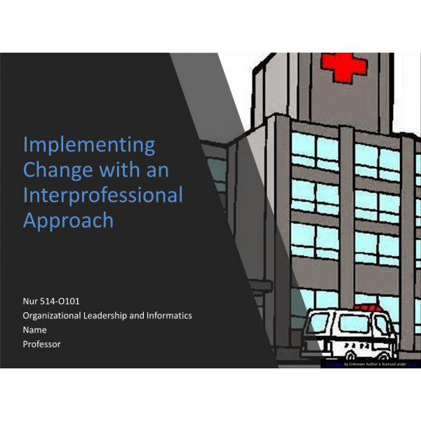 NUR 514 Week 3 Assignment, Implementing Change with an Interprofessional Approach 2