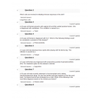 NURS 6501N Week 2 Quiz (40 out of 40)
