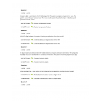 NURS 6501N Week 3 Quiz 4 - 06 Sets with Answers