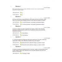 NURS 6501N Week 5 Quiz (30 out of 30): 2020