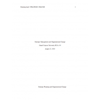 HCA 545 Week 1 Assignment, Strategic Management and Organizational Change HCA 545 Week 1 Assignment, Strategic Management and Organizational Change