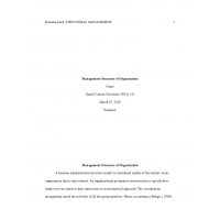 HCA 545 Week 6 Assignment, Organization Structure Analysis HCA 545 Week 6 Assignment, Organization Structure Analysis