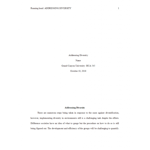HCA 545 Week 8 Assignment, Addressing Diversity