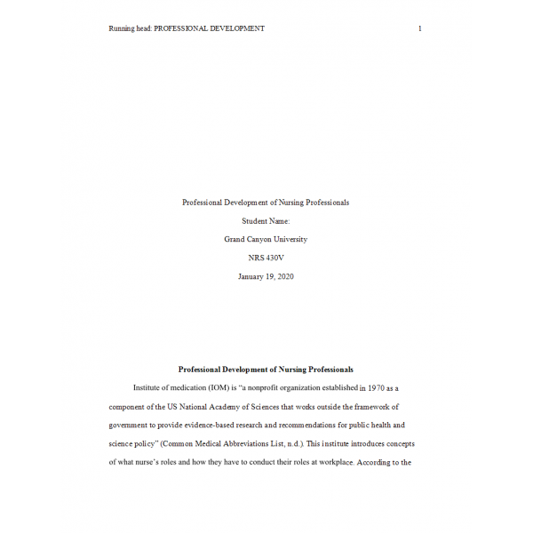 Pdp nursing assignment image