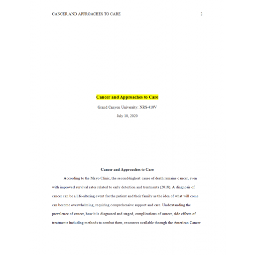 NRS 410V Week 4 Assignment, Care and Approaches to Care