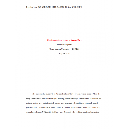 NRS 410V Week 4 Benchmark Assignment, Nursing Process - Approach to Care