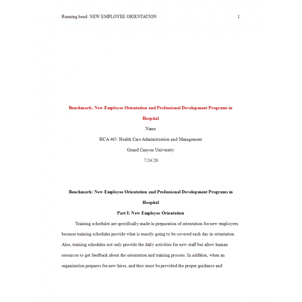 HCA 465 Topic 5 Benchmark Assignment, New Employee Orientation and Professional Development Programs in Hospital