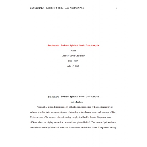 PHI 413V Topic 4 Benchmark Assignment, Spiritual Needs Assessment and Reflection 2