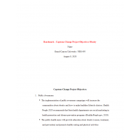NRS 493 Topic 3 Benchmark, Capstone Change Project Objectives