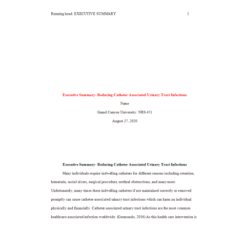 NRS 451VN Week 3 Assignment, Executive Summary 3 - Reducing Catheter Associated Urinary Tract Infections