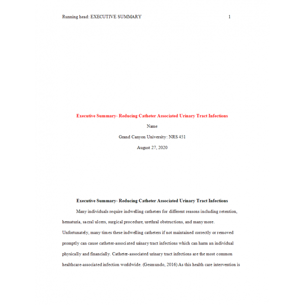 NRS 451VN Week 3 Assignment, Executive Summary 3 - Reducing Catheter Associated Urinary Tract Infections NRS 451VN Week 3 Assignment, Executive Summary 3 - Reducing Catheter Associated Urinary Tract Infections