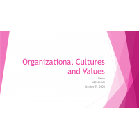 NRS 451VN Week 4 Assignment, Organizational Cultures and Values 1 NRS 451VN Week 4 Assignment, Organizational Cultures and Values 1