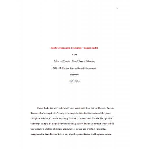 NRS 451VN Week 5 Assignment, Health Organization Evaluation - Banner Health
