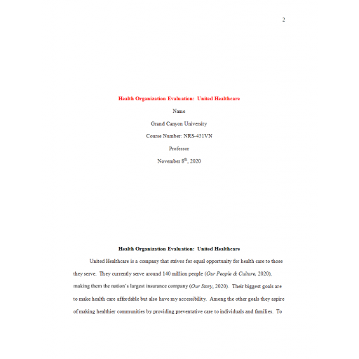 NRS 451VN Week 5 Assignment, Health Organization Evaluation - United HealthCare
