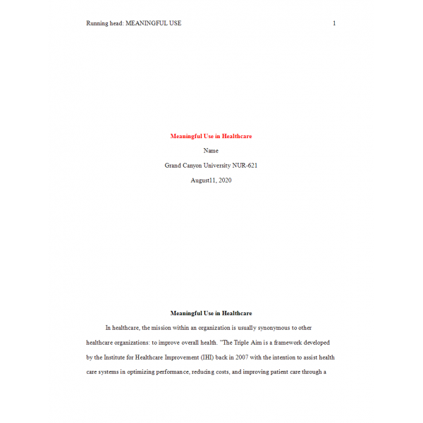 NUR 621 Week 4 Assignment, Implementing Meaning Use