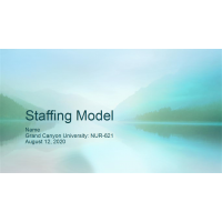 NUR 621 Week 7 Assignment, Staffing Model Presentation 2