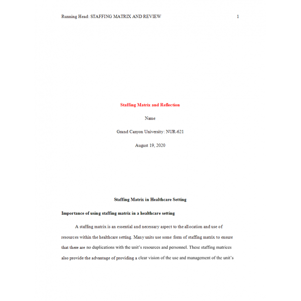 NUR 621 Week 8 Assignment, Staffing Matrix and Reflection