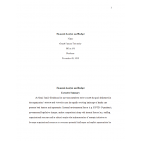 HCA 470 Business Plan Part 2 - Financial Analysis and Budget