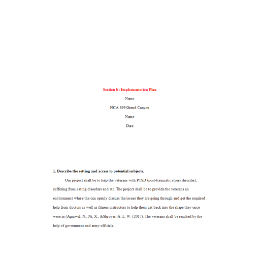 HCA 699 Week 5 Assignment 2, Section E - Implementation Plan