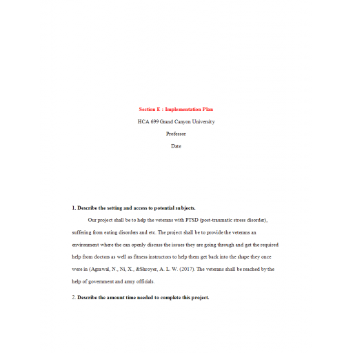 HCA 699 Week 5 Section E, Implementation Plan