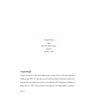 HLT 605 Week 3 Assignment, Sample Budget 2 HLT 605 Week 3 Assignment, Sample Budget 2