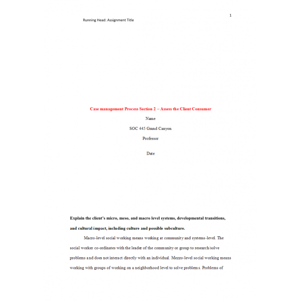 SOC 445 Week 3 Assignment 1, Case Management Process Section 2 - Assess the Client Consumer: 2020 SOC 445 Week 3 Assignment 1, Case Management Process Section 2 - Assess the Client Consumer: 2020