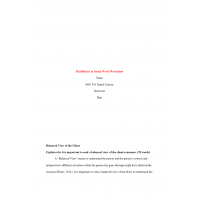 SOC 445 Week 4 Assignment, Roadblocks in Social Work Worksheet