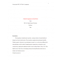 SOC 445 Week 5 Assignment 2, Cultural Comptence in Social Work 2