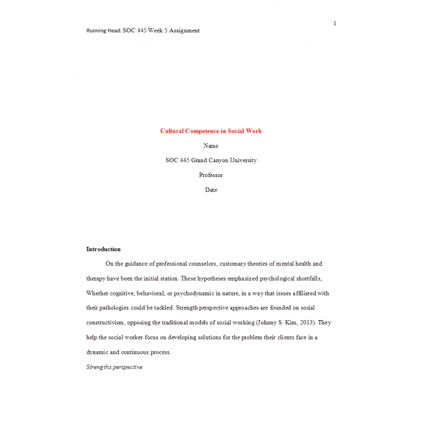 SOC 445 Week 5 Assignment 2, Cultural Comptence in Social Work 2