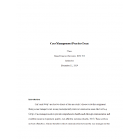 SOC 445 Week 8 Benchmark Assignment, Case Management Practice Essay