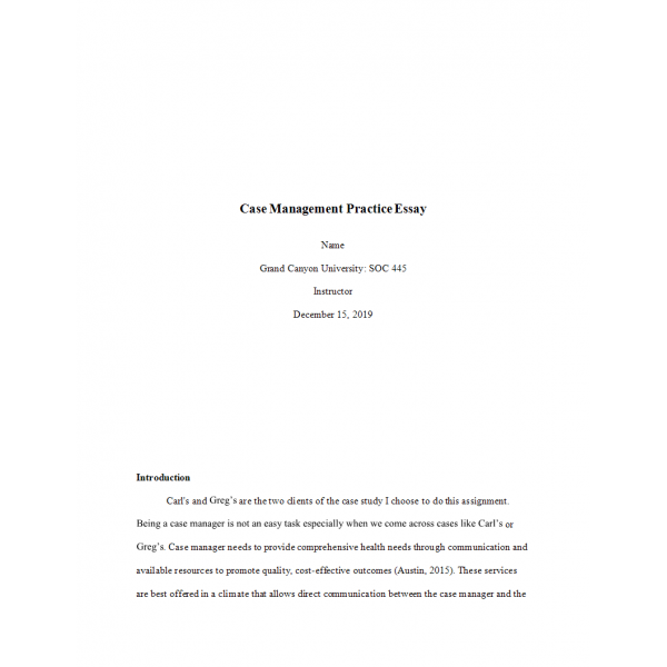 Benchmark assignment essay image