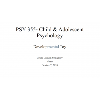 PSY 355 Topic 3 Developmetal Toy Powerpoint