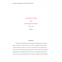JUS 655 Topic 3 Assignment, Criminal Justice Consulting JUS 655 Topic 3 Assignment, Criminal Justice Consulting