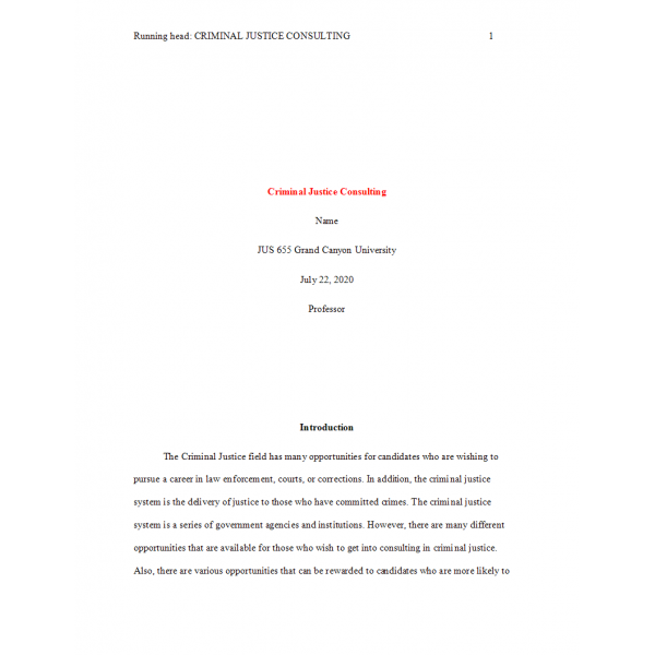 JUS 655 Topic 3 Assignment, Criminal Justice Consulting JUS 655 Topic 3 Assignment, Criminal Justice Consulting
