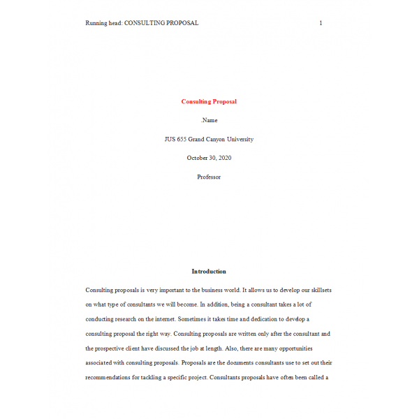 Role of consultant pdf picture