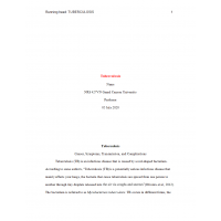 NRS 427VN Topic 2 Benchmark Assignment, Epidemiology Paper - Tuberculosis