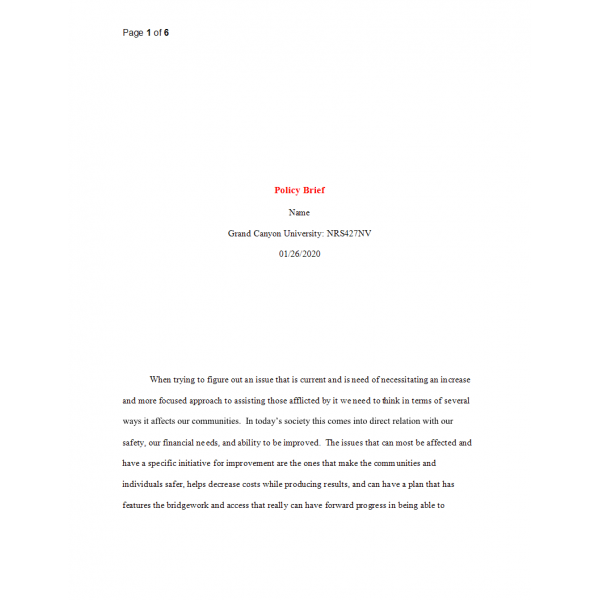 NRS 427VN Topic 4 Policy Brief Paper - Mental Health