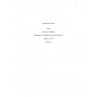MGT 526 Week 4 Assignment, Organizational Chart (Coca-Cola) MGT 526 Week 4 Assignment, Organizational Chart (Coca-Cola)