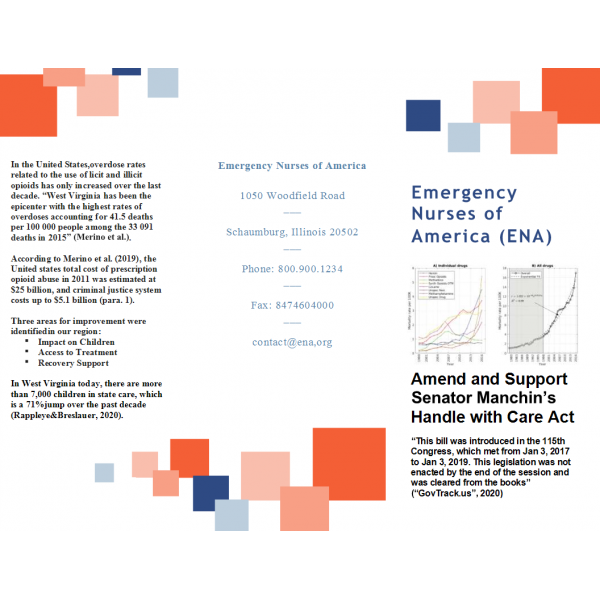 POLI 330N Week 7 Assignment, Final Project Policy Issue