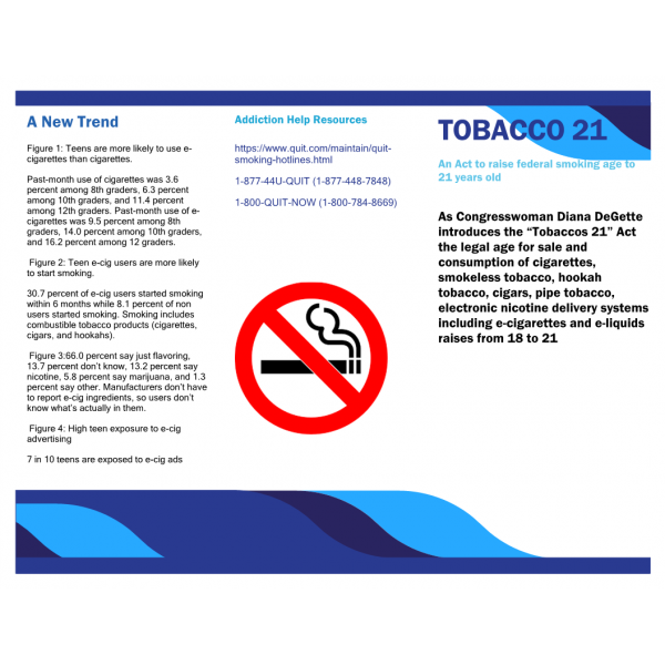 POLI 330N Week 7 Assignment, Pamphlet